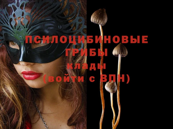 дурь Заволжье