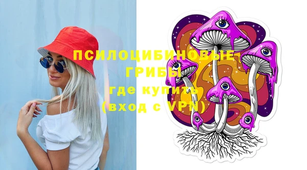 mdpv Заводоуковск