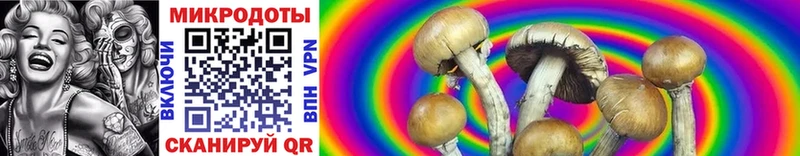 Галлюциногенные грибы MAGIC MUSHROOMS  Купить  Тосно 
